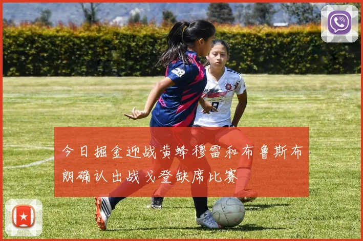 今日掘金迎战黄蜂穆雷和布鲁斯布朗确认出战戈登缺席比赛